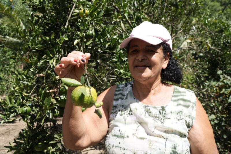 Tradição na agricultura gonçalense passa por gerações 