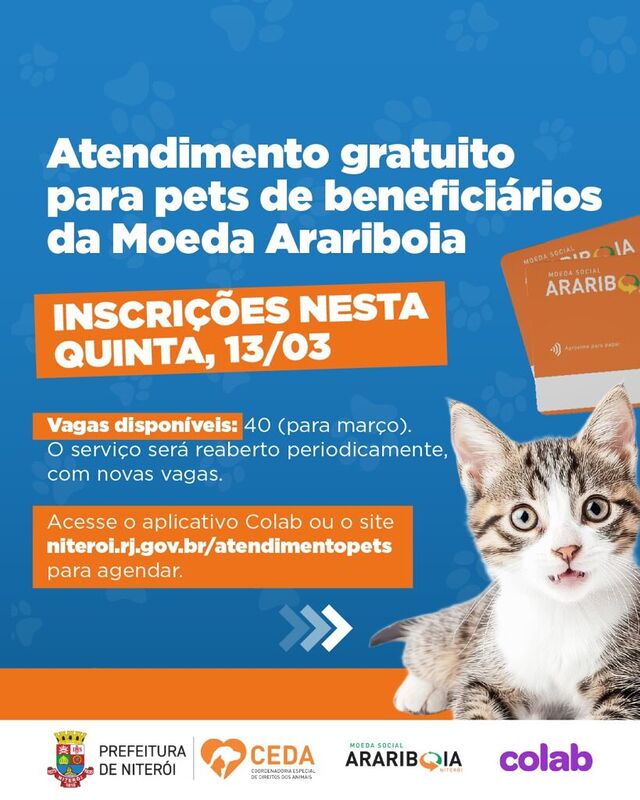 Atendimento pets