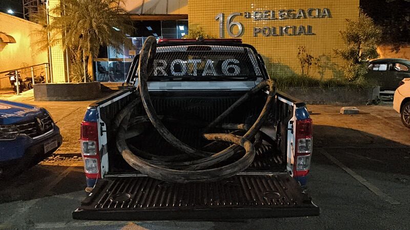Agentes do BRT Seguro prendem dois indivíduos por furto de fios na estação Bosque Marapendi – Prefeitura da Cidade do Rio de Janeiro
