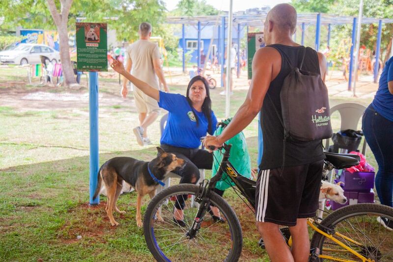 Animais resgatados são adotados em evento de causa de amor aos animais