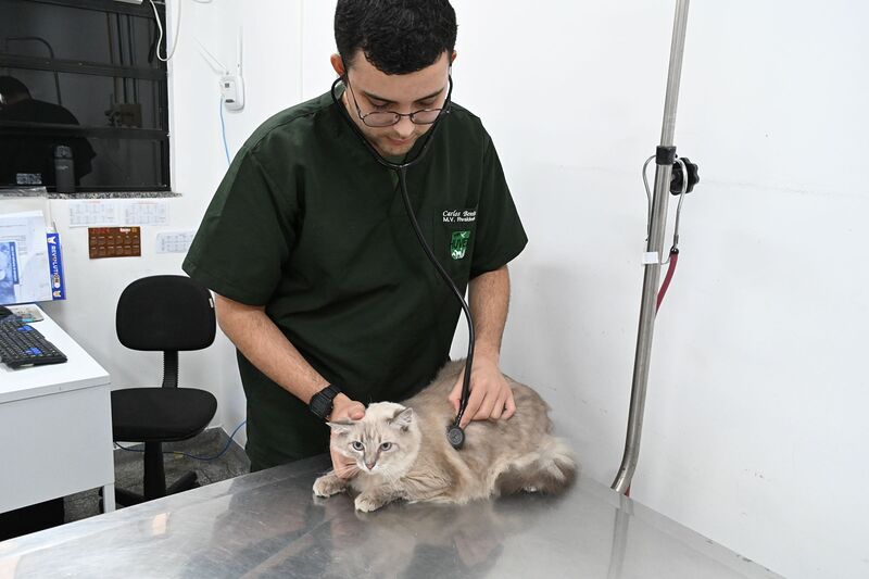 Beneficiários da Moeda Arariboia podem agendar consulta veterinária nesta quinta-feira (03) – Prefeitura Municipal de Niterói