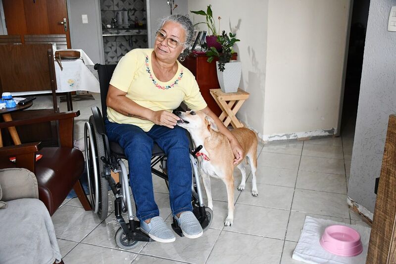 Cadela resgatada de rua em Nova Iguaçu ajuda nova tutora a recuperar alegria após grandes perdas