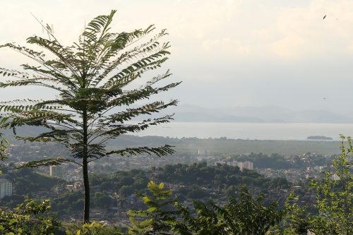 Lei que regula Fundo Municipal de Meio Ambiente é sancionada em São Gonçalo
