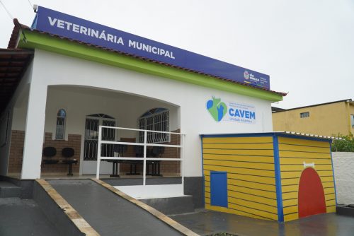 Mais de 700 vagas para castração de cães e gatos em São Gonçalo