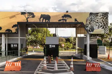 Brasília (DF), 28/05/2025 - O Zoológico de Brasília precisou fechar as portas por suspeitas de casos de gripe aviária. Segundo informações preliminares, um pombo e um pato foram encontrados mortos e levantaram suspeitas sobre a infecção.
Foto: Joédson Alves/Agência Brasil