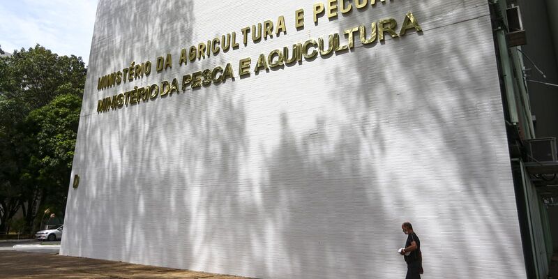 Sete casos de doenças respiratórias em aves são investigados no país