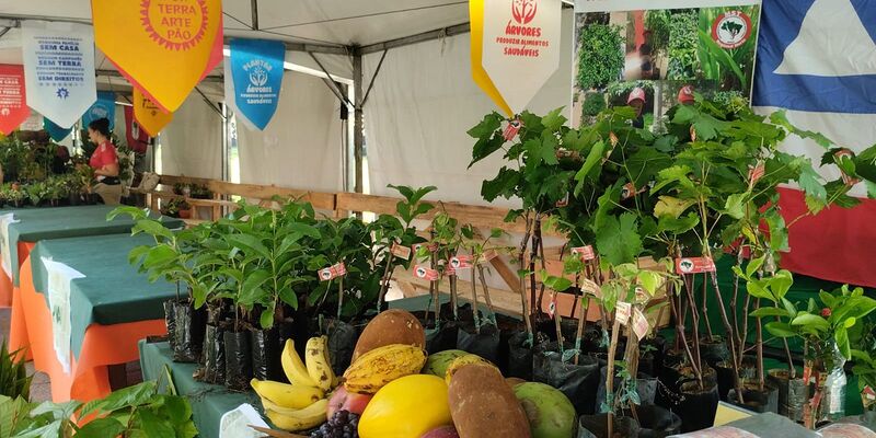 Feira da Reforma Agrária oferece alimentos produzidos por acampamentos