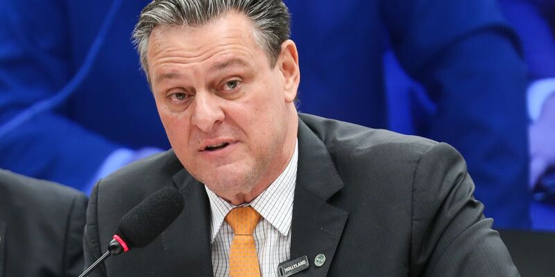 Gripe aviária não deve impactar preço da carne de frango, diz ministro