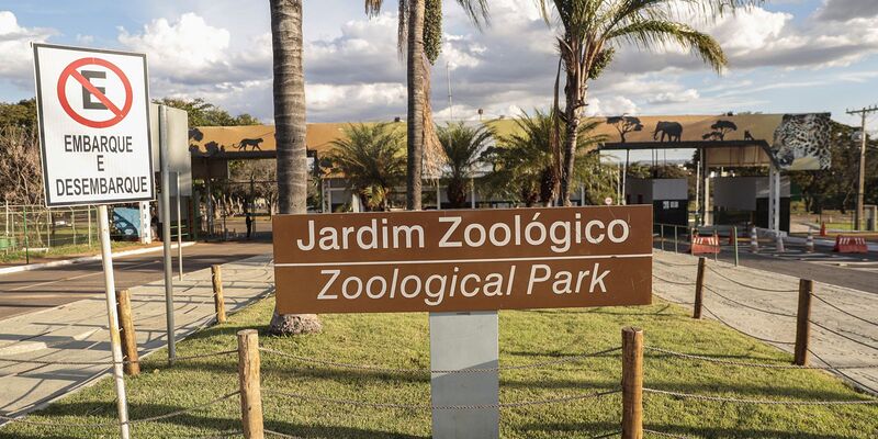 Zoológico de Brasília é fechado após suspeita de gripe aviária