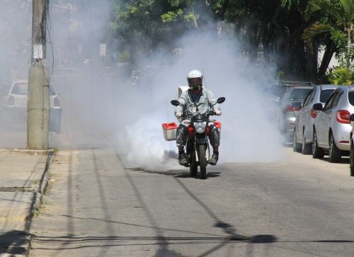 Combate ao Aedes aegypti segue esta semana em São Gonçalo