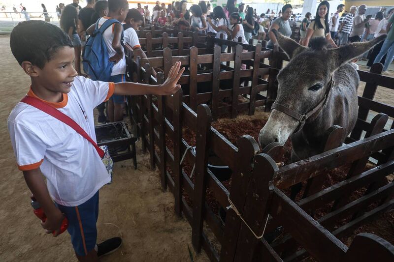 Dia Mundial do Meio Ambiente é celebrado com evento no Parque Rural de Niterói – Prefeitura Municipal de Niterói