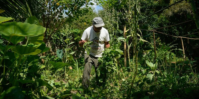 Edital seleciona 36 projetos para fortalecer agricultura familiar
