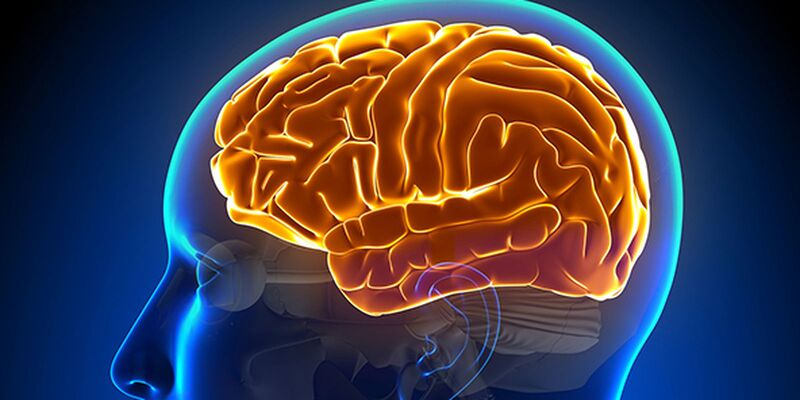 Entenda a hidrocefalia normobárica, causa da cirurgia de Chico Buarque