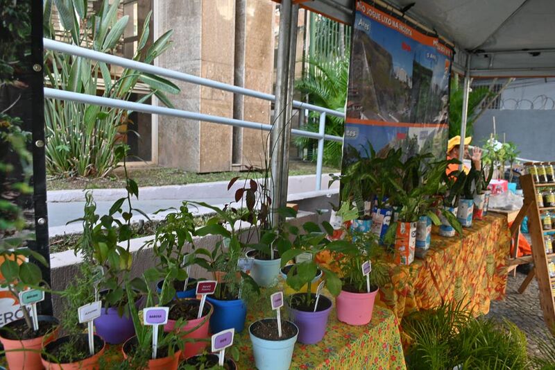 Clin comemora Dia do Meio Ambiente com exposição em frente à Prefeitura de Niterói – Prefeitura Municipal de Niterói