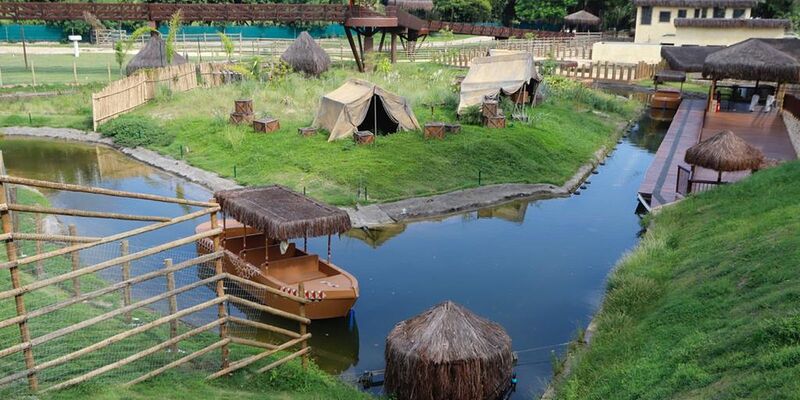 Material de aves mortas em BioParque do Rio será analisado em Campinas