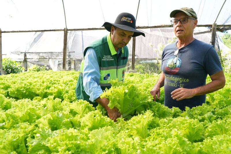 Sítio em São Gonçalo se destaca com produção natural de alfaces e projetos sociais
