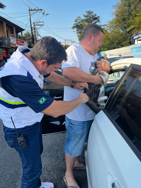 Primeira etapa da campanha de vacinação antirrábica imuniza mais de 52 mil cães e gatos em São Gonçalo