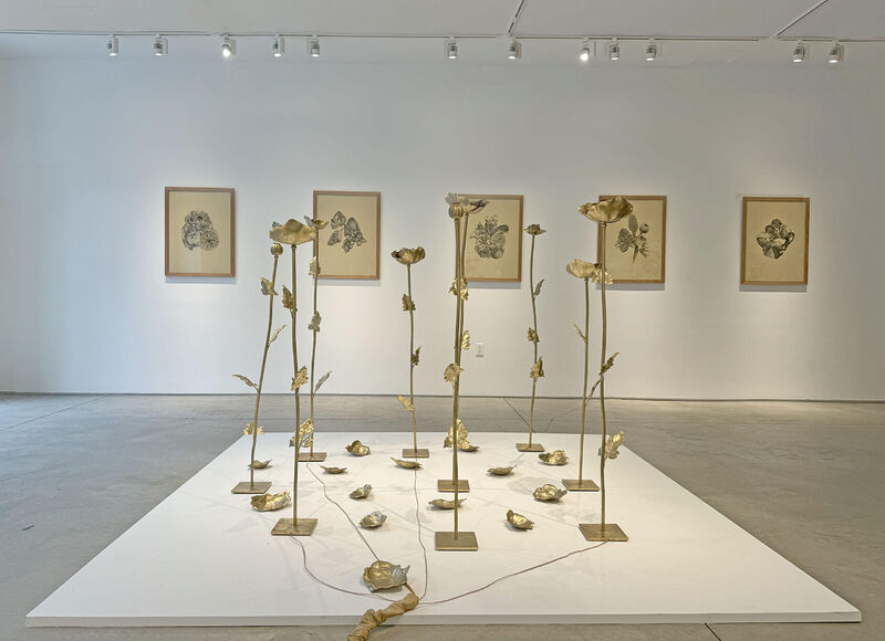 MAC vai inaugurar a exposição “Através do Véu Verde”, do artista argentino Edo Costantini, neste sábado (06)