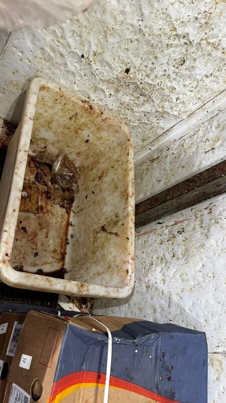  Vigilância Sanitária interdita mercado no Centro de São Gonçalo