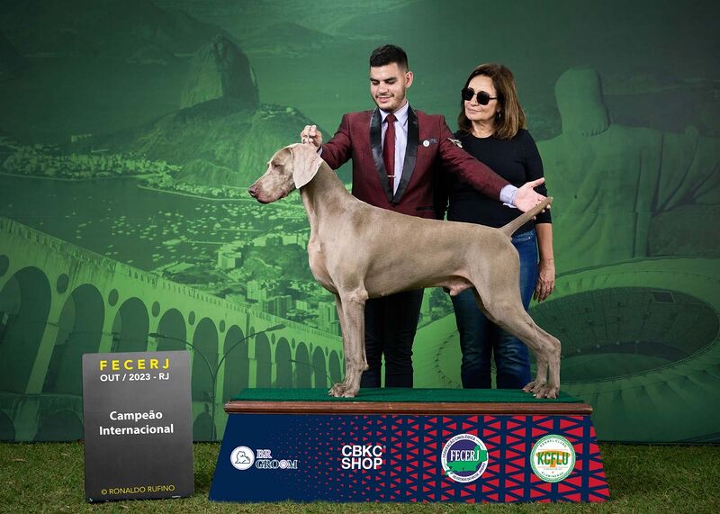 Parque Rural recebe exposição de cães de raça neste sábado (4) e domingo (5) – Prefeitura Municipal de Niterói