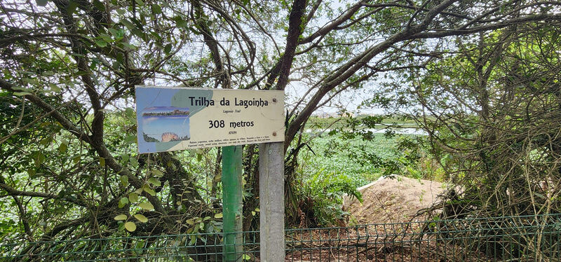Prefeitura lança consulta pública para requalificação dos parques Bosque da Barra e Chico Mendes – Prefeitura da Cidade do Rio de Janeiro