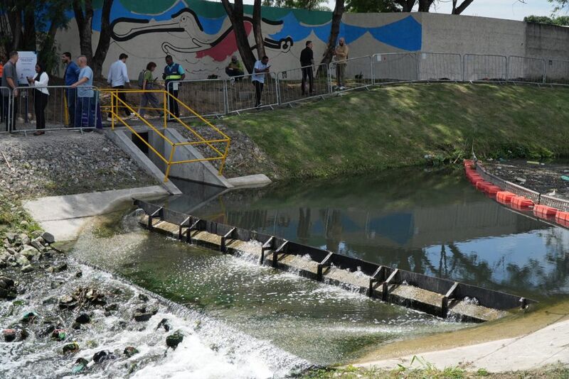 Cidade Ilustrada cria novo painel ligado à preservação do meio ambiente
