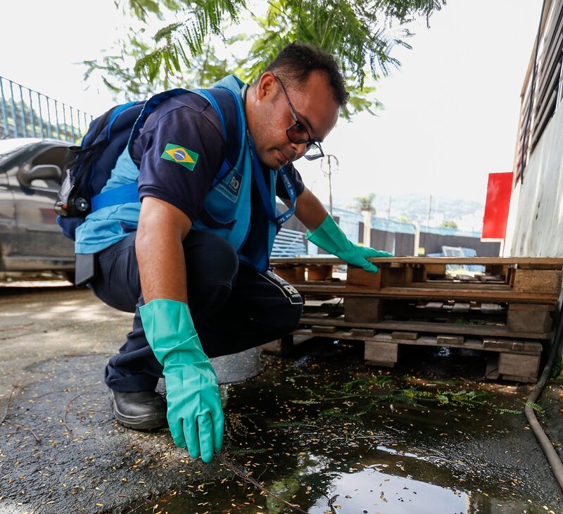 Quarto LIRAa de 2025 revela índice de 0,60 % de infestação do mosquito Aedes aegypti – Prefeitura da Cidade do Rio de Janeiro