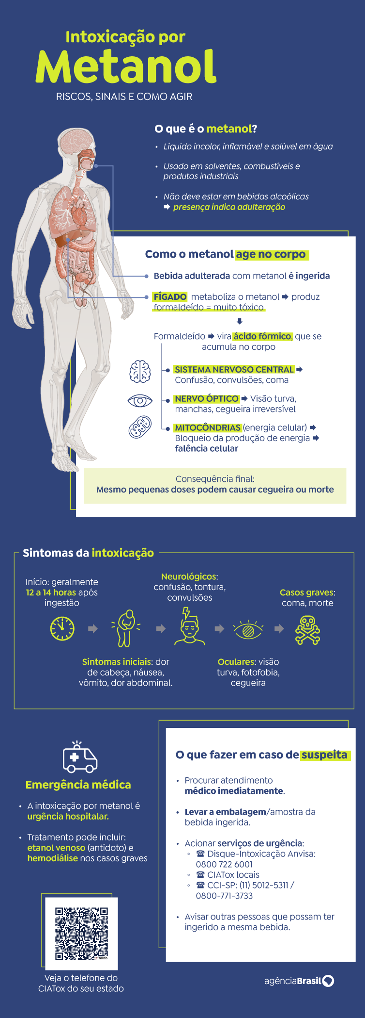 arte-metanol 