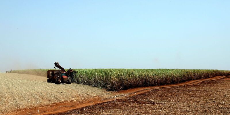 IBGE prevê safra recorde de 346 milhões de toneladas em 2025