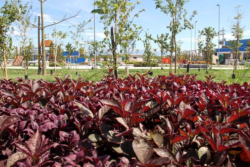 Parque RJ São Gonçalo já recebeu mais de 10 mil mudas de arbustos e plantas