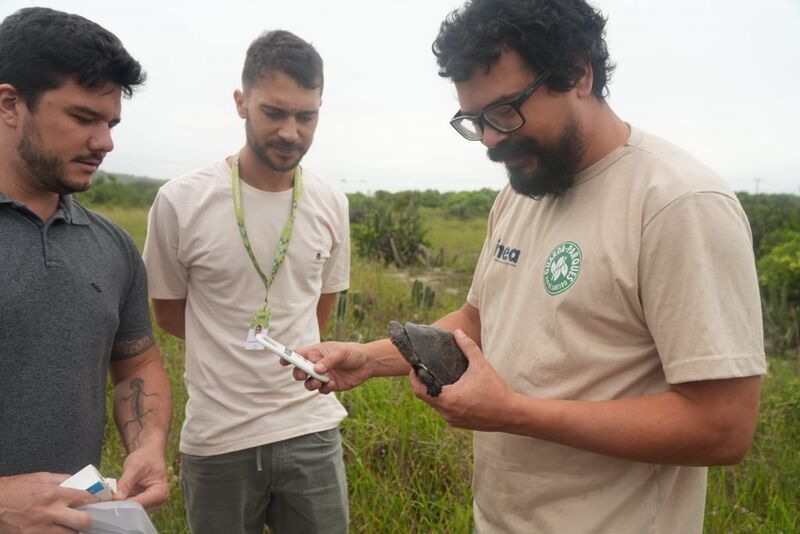 ASAS realiza soltura de três animais em seus habitats naturais
