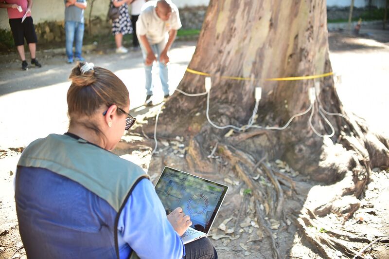 Tomografia é usada em árvores com risco em Niterói e reforça segurança urbana – Prefeitura Municipal de Niterói