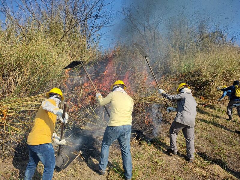 Nova Iguaçu abre inscrições para sua Brigada Florestal Voluntária