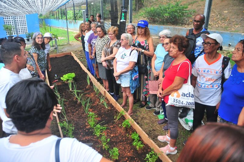 Oficina de jardinagem promove encontro entre gerações no Espaço Municipal da Terceira Idade