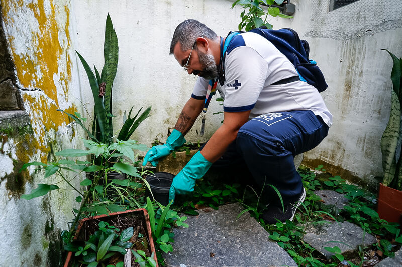 Santa Teresa recebe mais uma ação de combate às arboviroses – Prefeitura da Cidade do Rio de Janeiro