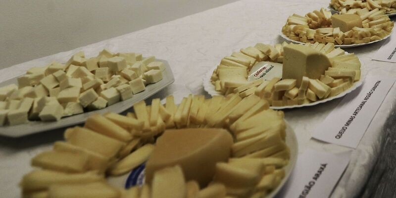 Brasil começa a importar queijo mais barato após acordo Mercosul–UE