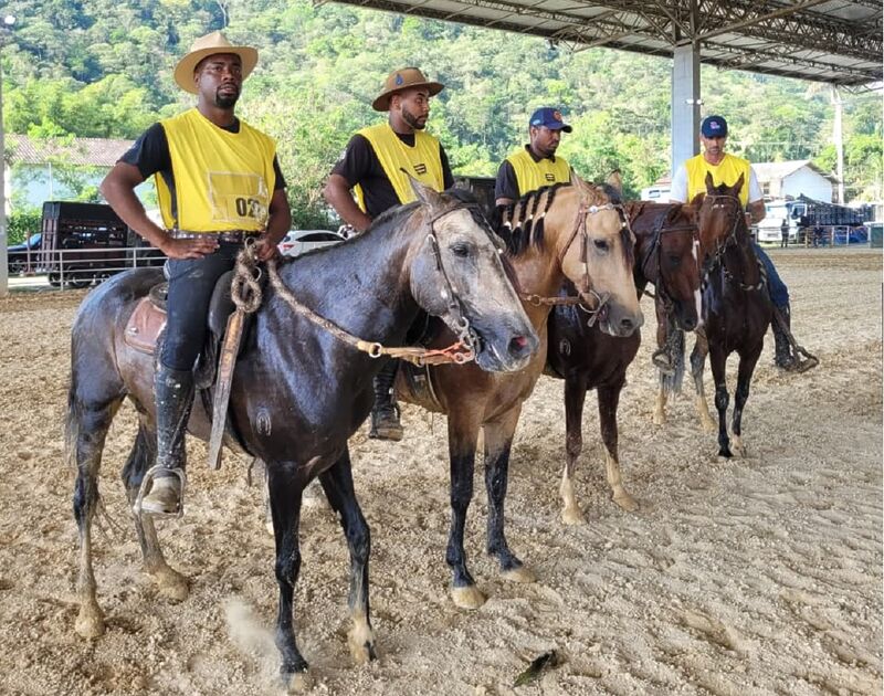 Parque Rural de Niterói recebe campeonato hípico com provas de salto e entrada gratuita – Prefeitura Municipal de Niterói