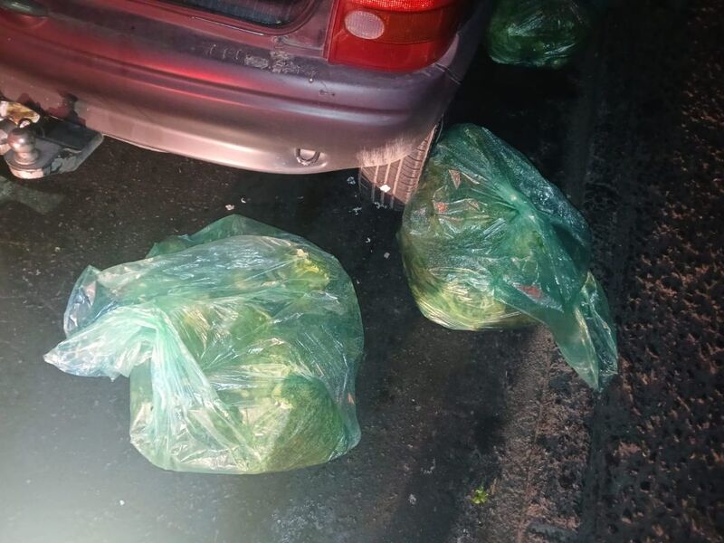 Guarda Municipal prende seis por receptação e furto a estabelecimento comercial no Alcântara