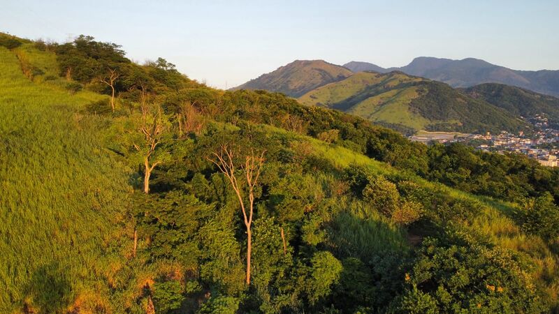 Pioneira: Prefeitura do Rio firma convênio com BNDES para aportar R$ 10 mi no programa Floresta Viva - Prefeitura da Cidade do Rio de Janeiro