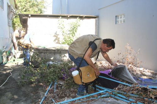 São Gonçalo mantém baixo risco de contaminação da dengue
