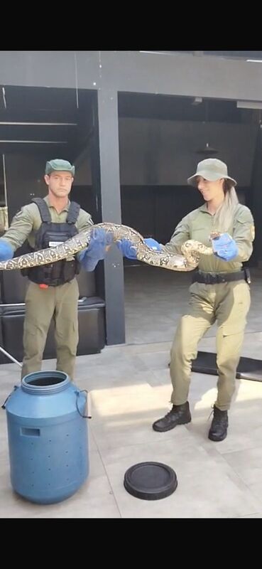 Guarda Ambiental resgata duas cobras na Região Oceânica de Niterói – Prefeitura Municipal de Niterói