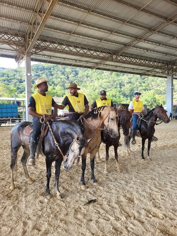 Parque Rural de Niterói recebe a 1º Expo Especializada do Mangalarga Marchador – Prefeitura Municipal de Niterói