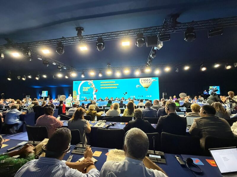 Niterói vai sediar reunião executiva da Rede Cidades e Governos Locais Unidos em 2027 – Prefeitura Municipal de Niterói