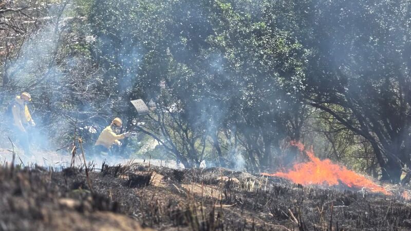 Brigada Florestal Voluntária realiza ações preventivas para evitar incêndios florestais em Nova Iguaçu