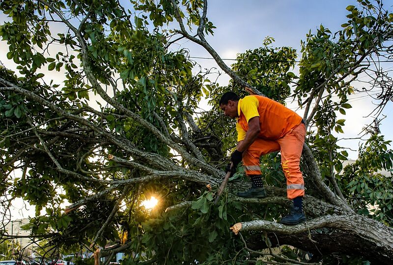 Clin mobiliza 600 colaboradores para desobstrução de vias e limpeza após forte rajada de vento em Niterói – Prefeitura Municipal de Niterói