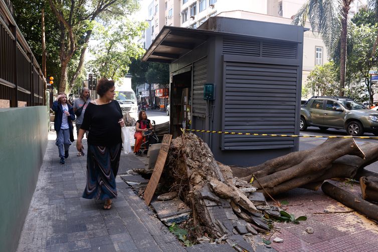 Tânia Rêgo/Agência Brasil Rio de Janeiro (RJ), 30/07/2026 - Estragos provocados pelos fortes ventos que atingiram a cidade na tarde desta quarta-feira (29). Foto: Tânia Rêgo/Agência Brasil