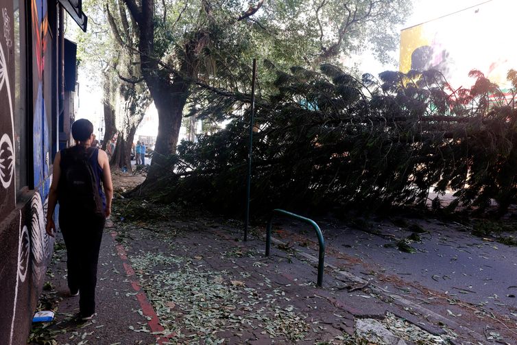 Rio de Janeiro (RJ), 30/07/2026 - Estragos provocados pelos fortes ventos que atingiram a cidade  na tarde desta quarta-feira (30). Árvore caída bloqueia passagem em Botafogo. Foto: Tânia Rêgo/Agência Brasil