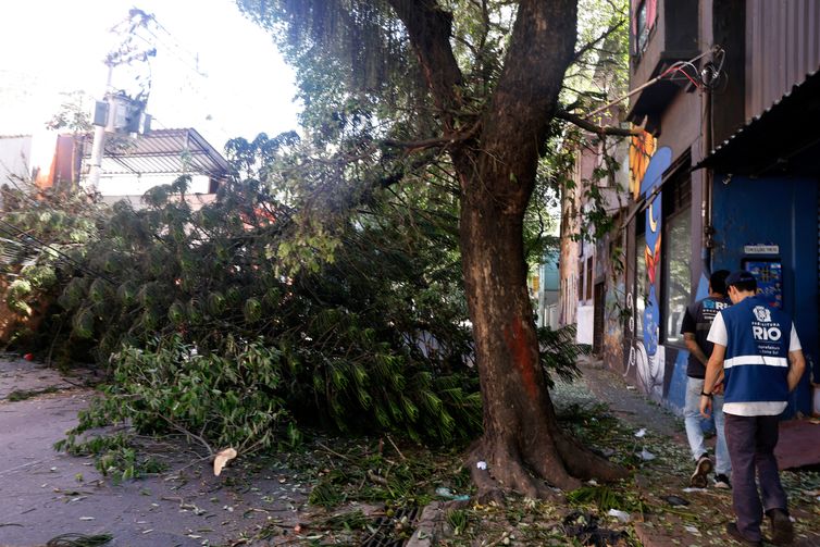 Tânia Rêgo/Agência Brasil Rio de Janeiro (RJ), 30/07/2026 - Estragos provocados pelos fortes ventos que atingiram a cidade na tarde desta quarta-feira (29). Árvore caída bloqueia passagem em Botafogo. Foto: Tânia Rêgo/Agência Brasil