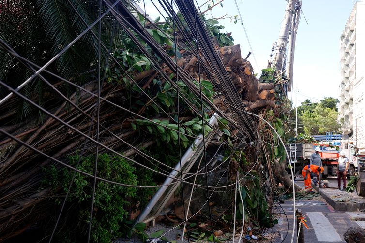 Rio de Janeiro (RJ), 30/07/2026 - Estragos provocados pelos fortes ventos que atingiram a cidade  na tarde desta quarta-feira (30). Árvore caí em frente ao Hospital Pró-Cardíaco, em Botafogo, destruindo portão e fiação Foto: Tânia Rêgo/Agência Brasil