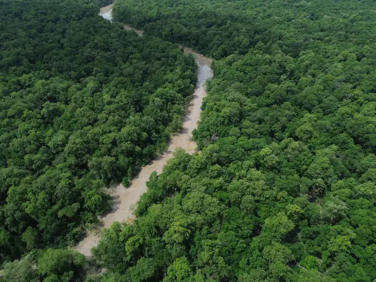 Bragança (PA), 12/06/2025 – Vista de um braço do Rio Caeté em área de manguezal na Reserva Extrativista Marinha de Caeté-Taperaçu monitorada pelo projeto Mangues da Amazônia. Foto: Fernando Frazão/Agência Brasil